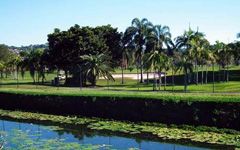 Banora Point - Wet Carpet Drying