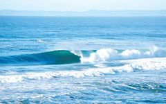 Tweed Coast