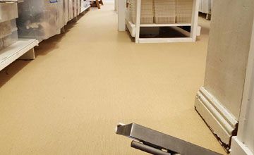 Carpet Cleaning